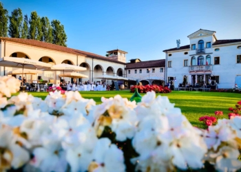 Paladin e le previsioni sulla vendemmia: qualità ottima