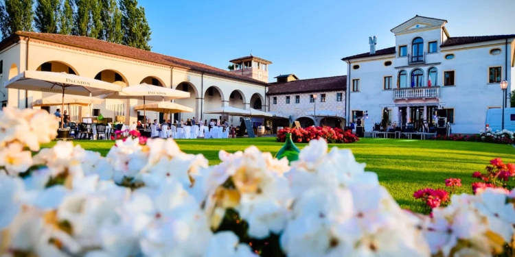 Paladin e le previsioni sulla vendemmia: qualità ottima