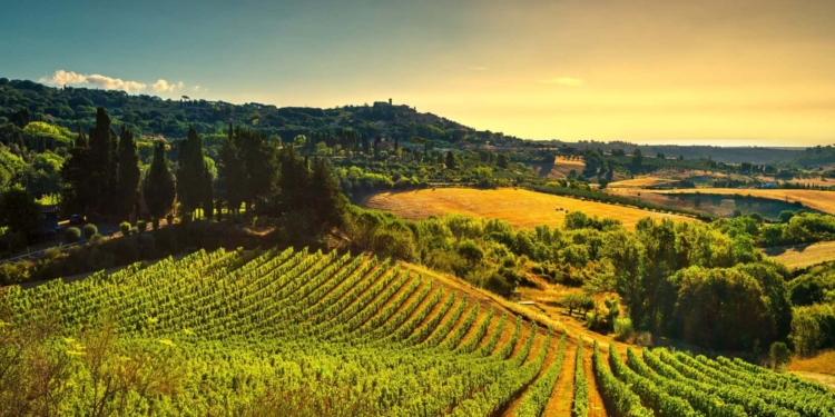 vitinera esperienze cantina