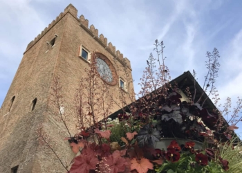 Gina di Cataldo e il suo SI a Idea Comune