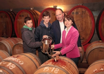 Salvato dalla vite. I giorni dell’isolamento e l’estate