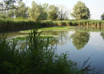 Gaggio, frazione di Marcon. Siamo sicuri?