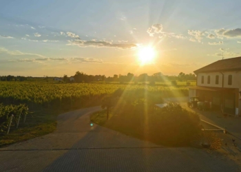 I Padroncini: 70 Anni di successi