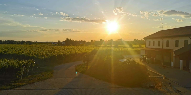 I Padroncini: 70 Anni di successi