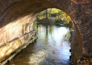 Ohh …quanto bello è meravigliarsi!