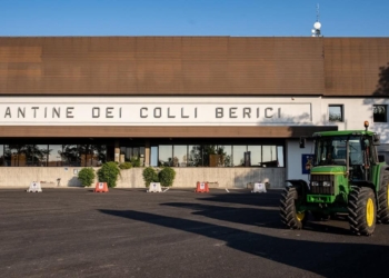 Zambon: “solo la qualità può riempire il bicchiere”