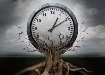 Prescrizione in 5 anni per i tributi locali