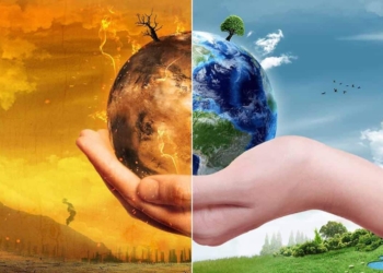 Ma davvero sappiamo cosa vuol dire essere “green”?