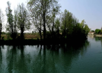 Andiamo sul Sile per Alzaia e Restera. Luoghi nascosti