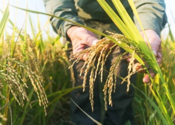 Abbiamo tre punti di forza, ma l’Italia non li conosce