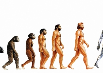 I burosauri, gli invisibili esseri umani burocrati