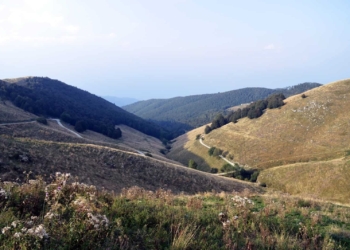 Quando la casa è dove sta il cuore. Anche al centro del mondo