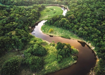 La terra è un essere vivente. Trattiamola bene