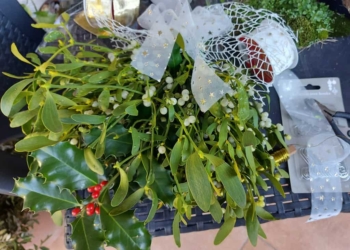 Auguri green per il nuovo anno: le piante scacciaguai