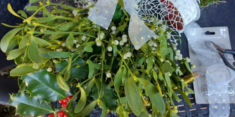 Auguri green per il nuovo anno: le piante scacciaguai