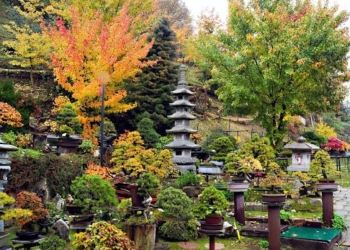 Pace e serenità nel weekend