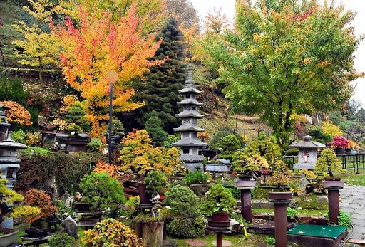 Pace e serenità nel weekend