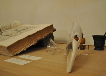 C’era una volta la peste: così si difese Venezia nel ‘500