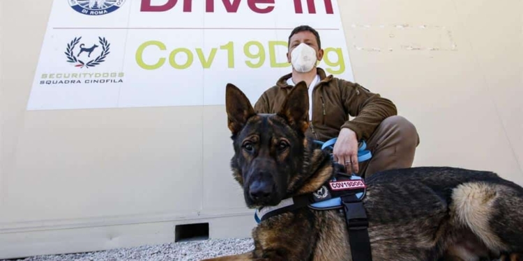 È vero: i cani fiutano il Covid