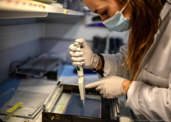 Indiana, brasiliana: tutto sulle varianti del virus