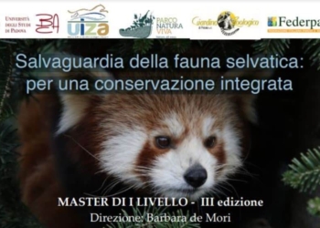 Master in salvaguardia della fauna selvatica
