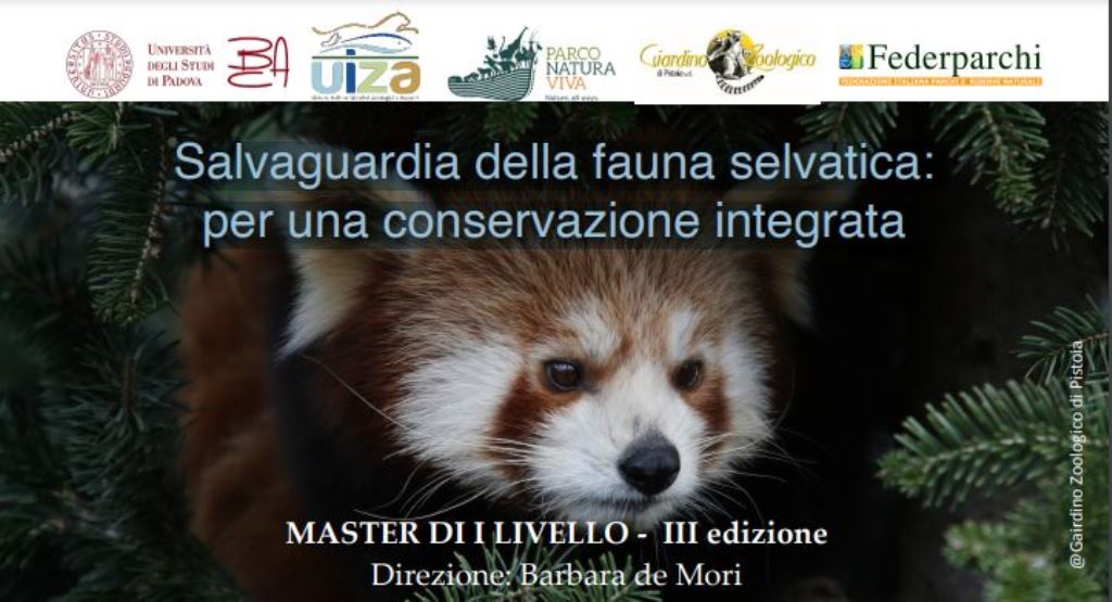 Master in salvaguardia della fauna selvatica