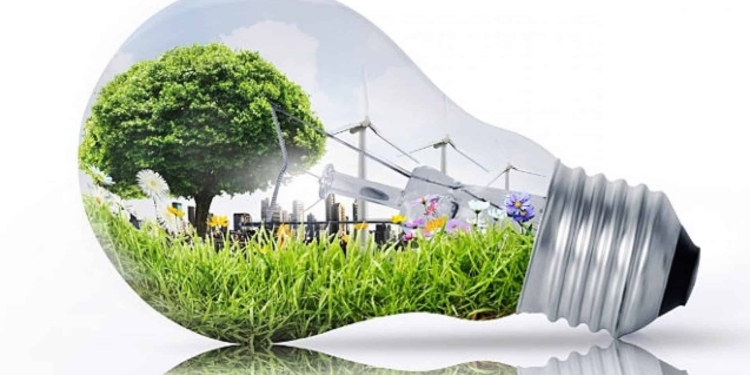 Startup green: si parte!