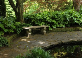 La cultura riapre. Ecco dove andare