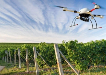 Droni e AI contro la deforestazione