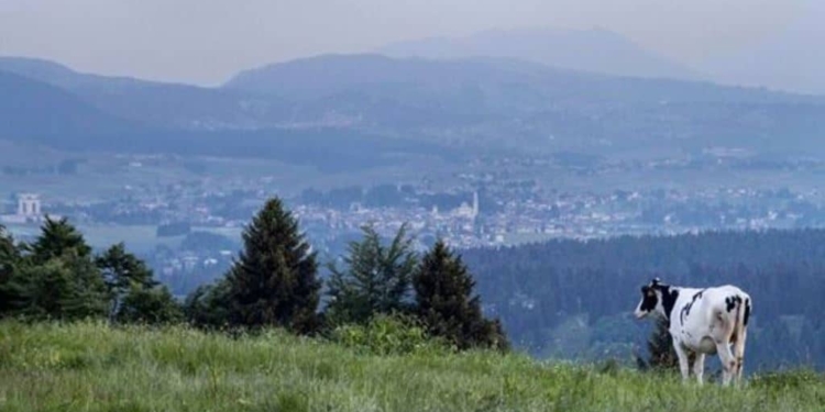 Weekend a Nordest: vedere, sentire, gustare