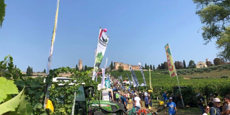 La viticoltura fa l’appello dalle colline