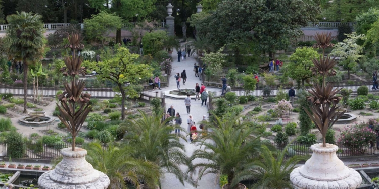 L’orto botanico di Padova: una scoperta