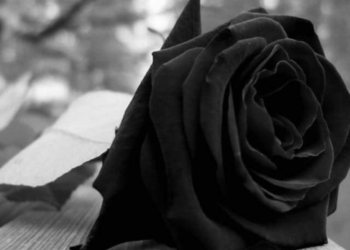 Il nero si addice al virus