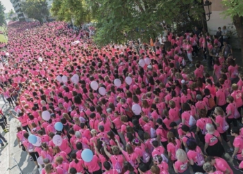 I titoli veneti cadetti