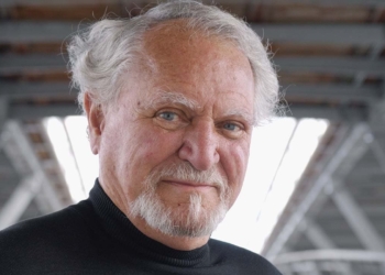 Tra il pesce piccolo e il calamaro gigante