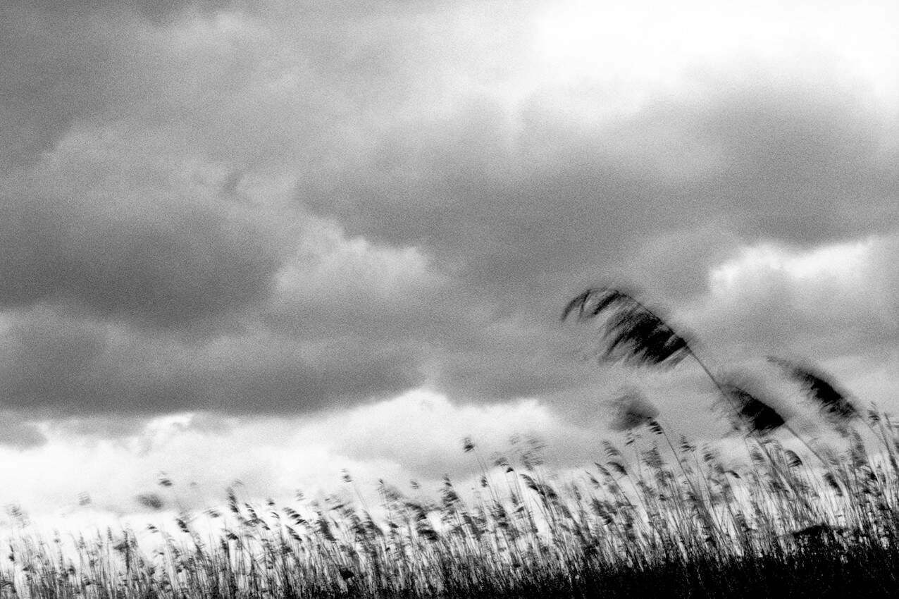Due mascherine… tricolori