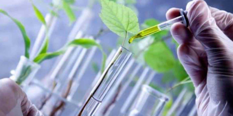 Bioeconomia: il futuro al 2050