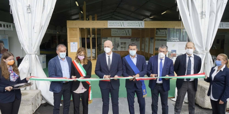 La foresta del Cansiglio e Venezia 1600