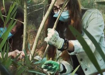 Servizio Civile Ambientale: la rivoluzione verde