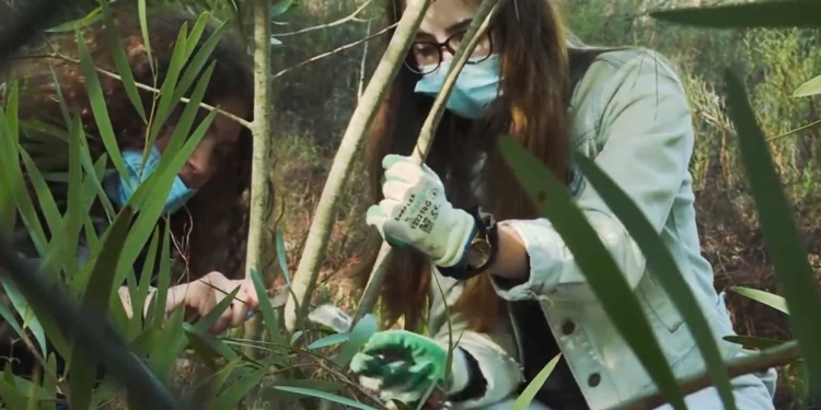 Servizio Civile Ambientale: la rivoluzione verde