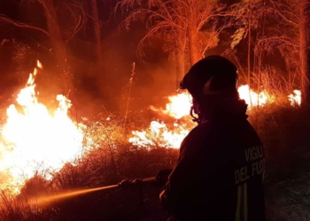 I danni, non solo economici, dei grandi incendi