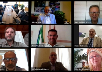 In gioco il futuro delle foreste e dei boschi