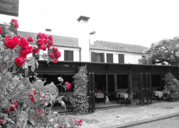 Maria Romana Rigoni e il suo risotto di cipolla