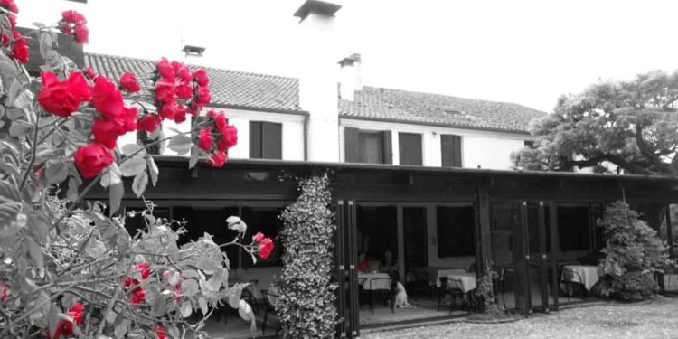 Maria Romana Rigoni e il suo risotto di cipolla