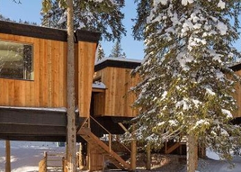 Vieni a vedere la mia casa sull’albero