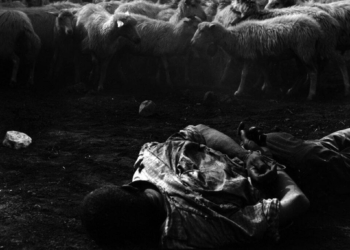 Settimana in giallo con un po’ d’amore