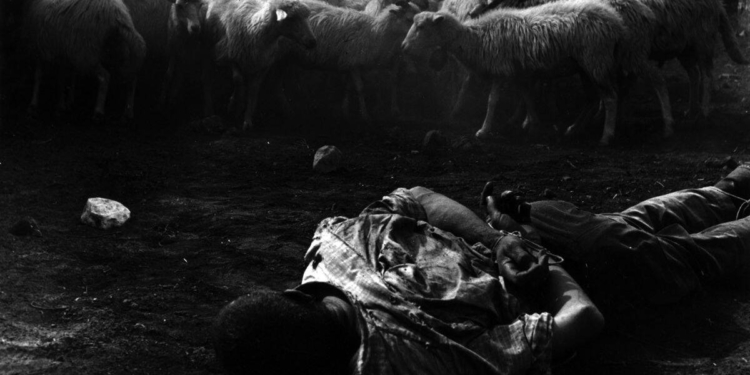 Settimana in giallo con un po’ d’amore