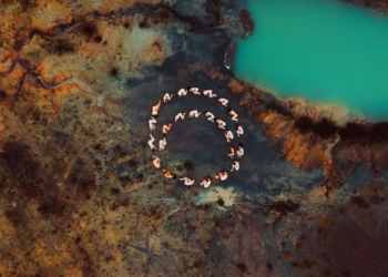 Festival del Cinema dei Diritti Umani di Venezia