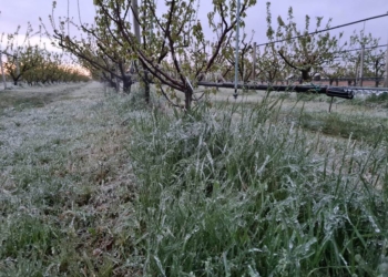 Gelate: da pagare un conto altissimo