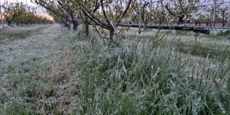 Gelate: da pagare un conto altissimo